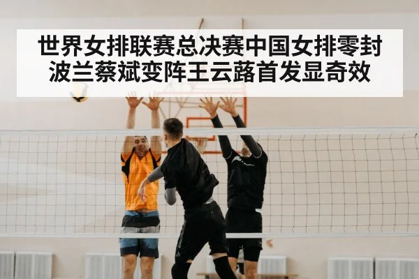 volleyball block net